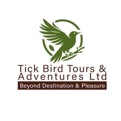 Tick Bird Tours & Adventures logo